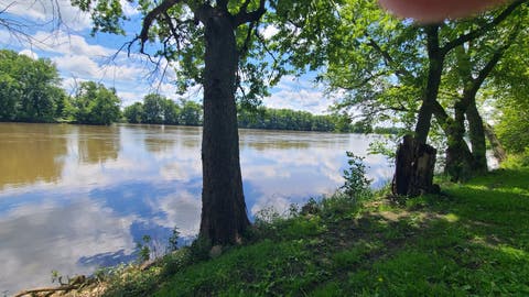 Tiny photo for 9830 Yorktown Road, Lyndon, IL 61261 (MLS # 12685716)