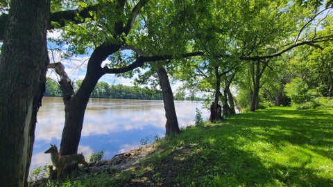 Tiny photo for 9830 Yorktown Road, Lyndon, IL 61261 (MLS # 12685716)