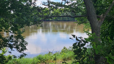Tiny photo for 9830 Yorktown Road, Lyndon, IL 61261 (MLS # 12685716)