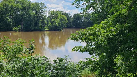 Tiny photo for 9830 Yorktown Road, Lyndon, IL 61261 (MLS # 12685716)
