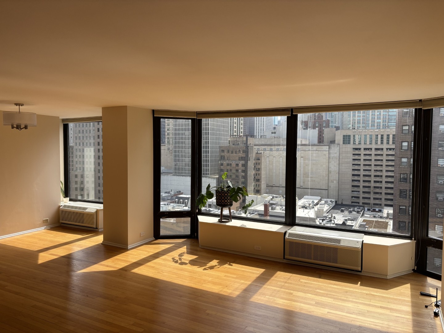 50 E Bellevue Place 1504