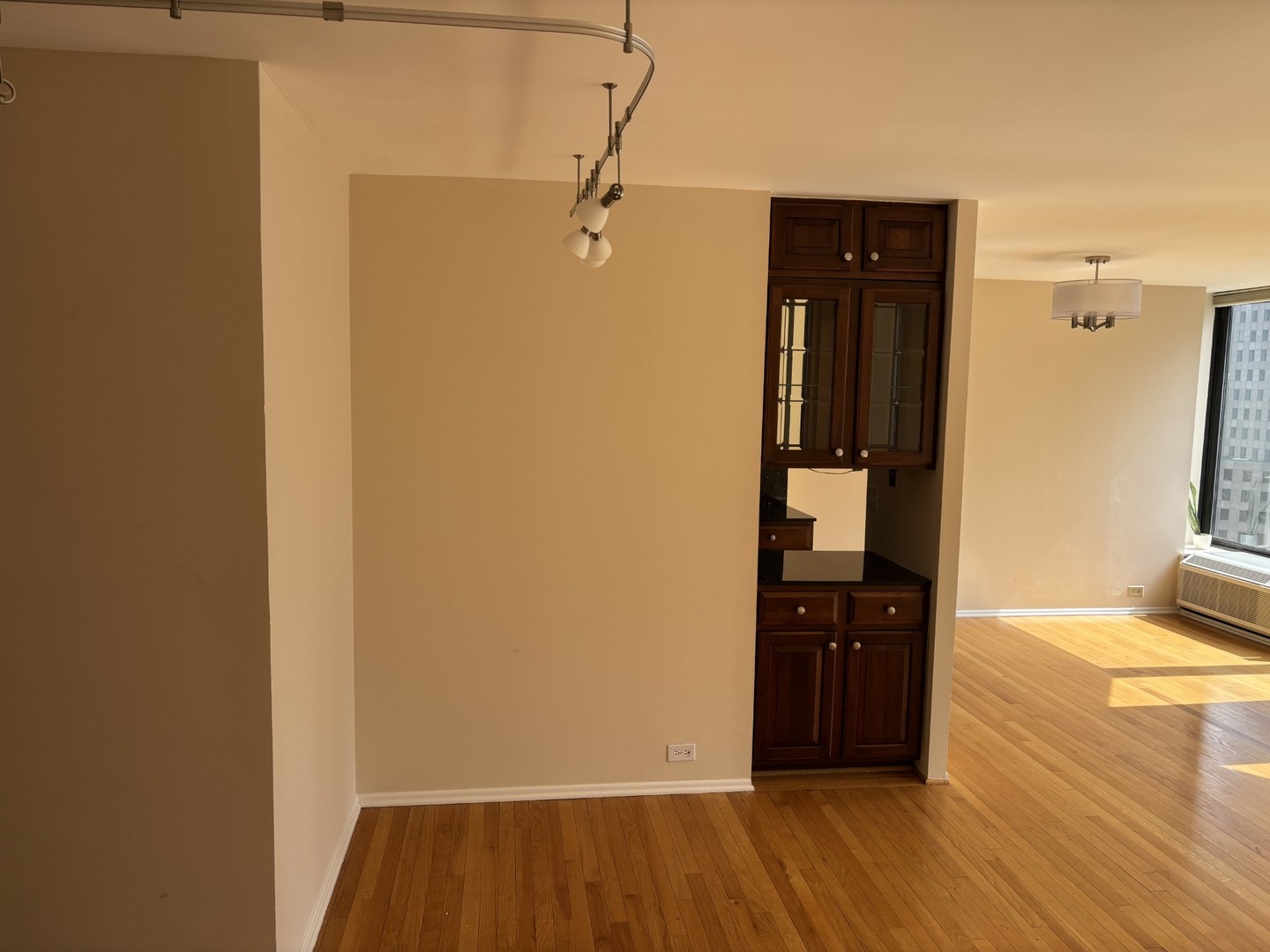 50 E Bellevue Place 1504