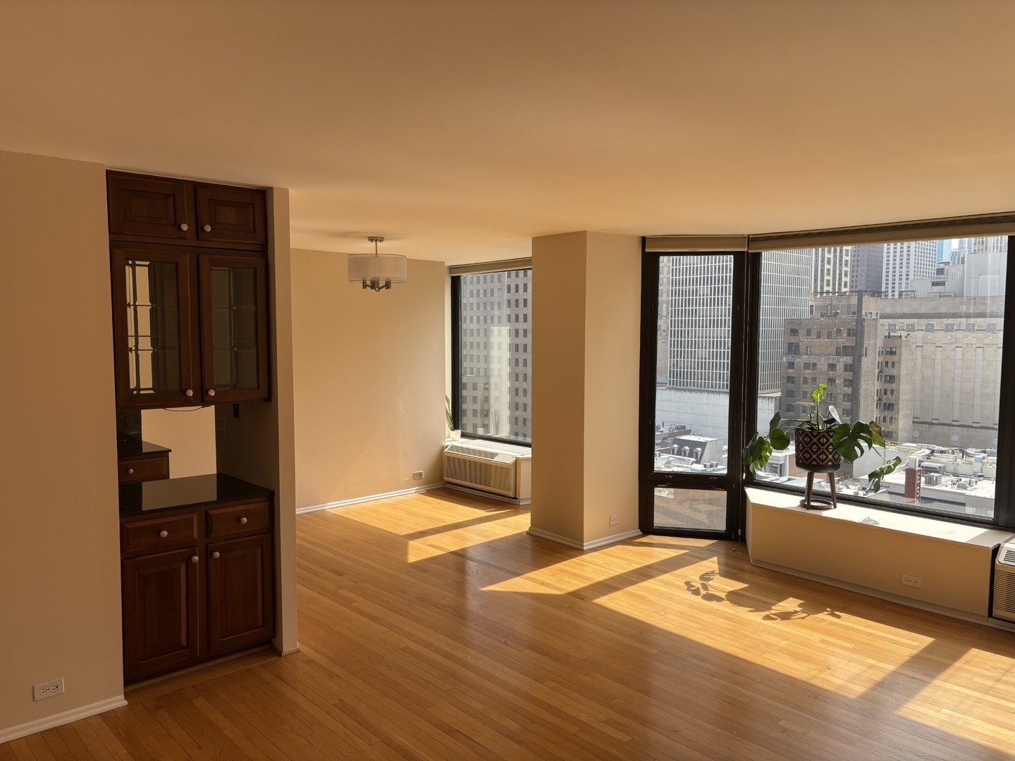 50 E Bellevue Place 1504