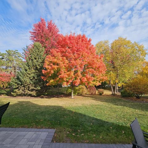 Tiny photo for 733 Wind Energy Pass, Batavia, IL 60510 (MLS # 12500218)