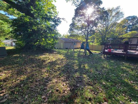 Tiny photo for 121 YOUNG Avenue, Anna, IL 62906 (MLS # EB455707)