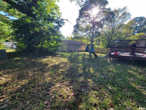 Tiny photo for 121 YOUNG Avenue, Anna, IL 62906 (MLS # EB455707)