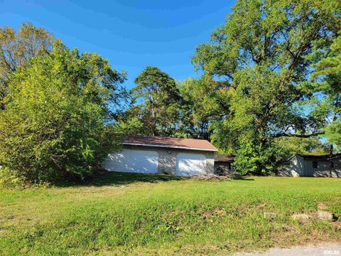 Tiny photo for 121 YOUNG Avenue, Anna, IL 62906 (MLS # EB455707)