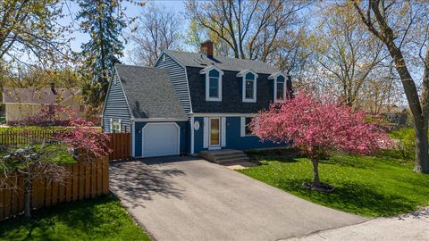 Single Family Residence in Lake Villa IL 21975 Laurel Avenue.jpg