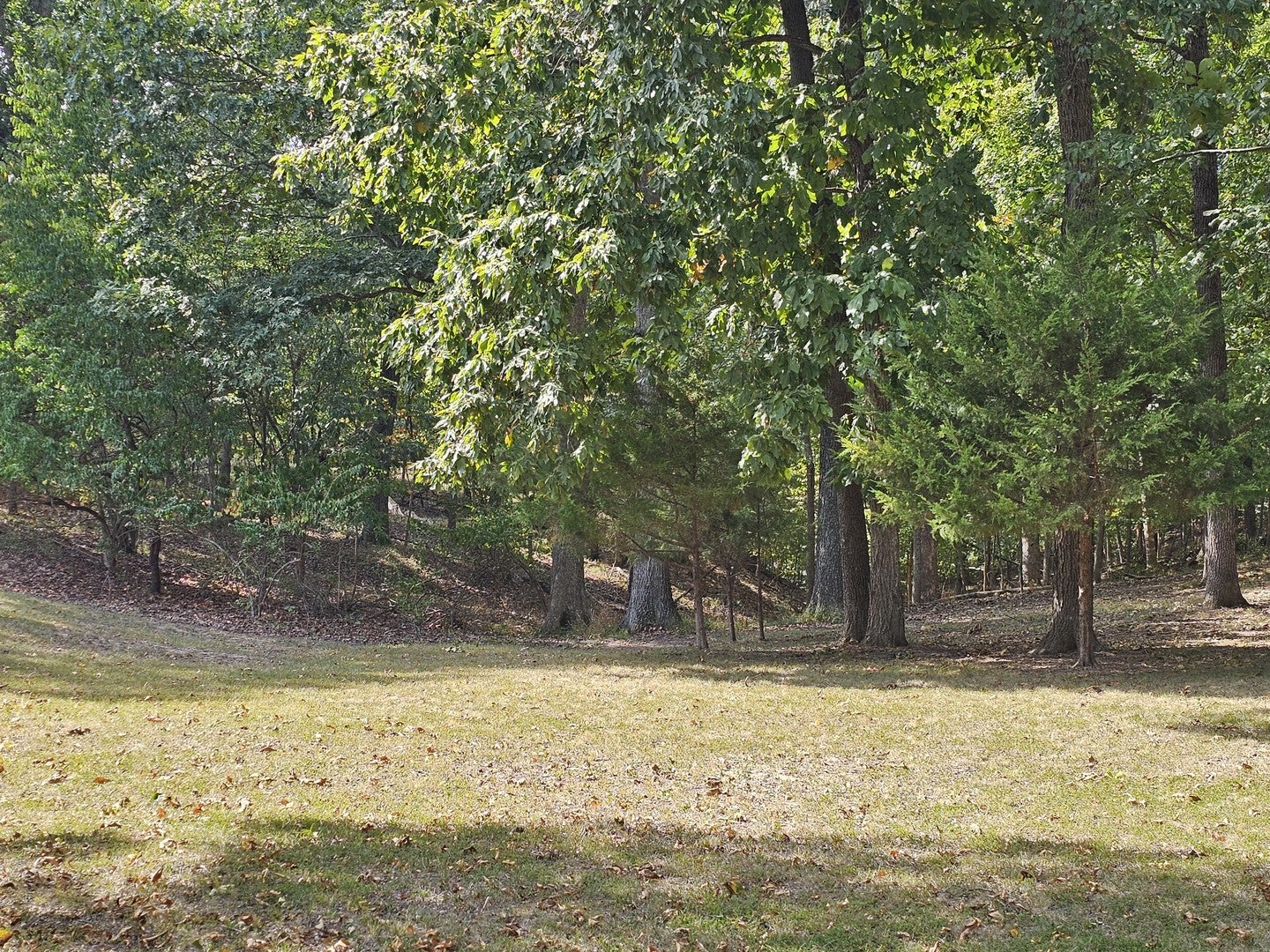 0000 N Dogwood Place