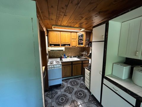 Tiny photo for 194 S Collins Street, South Elgin, IL 60177 (MLS # 12441306)