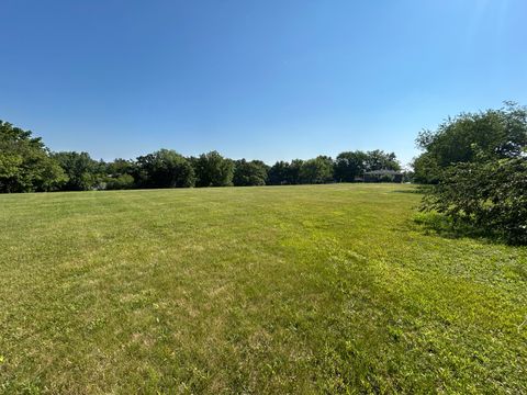 Tiny photo for 194 S Collins Street, South Elgin, IL 60177 (MLS # 12441306)