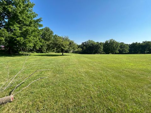 Tiny photo for 194 S Collins Street, South Elgin, IL 60177 (MLS # 12441306)