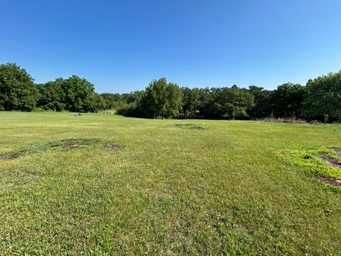 Tiny photo for 194 S Collins Street, South Elgin, IL 60177 (MLS # 12441306)