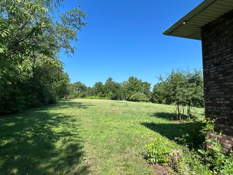 Tiny photo for 194 S Collins Street, South Elgin, IL 60177 (MLS # 12441306)