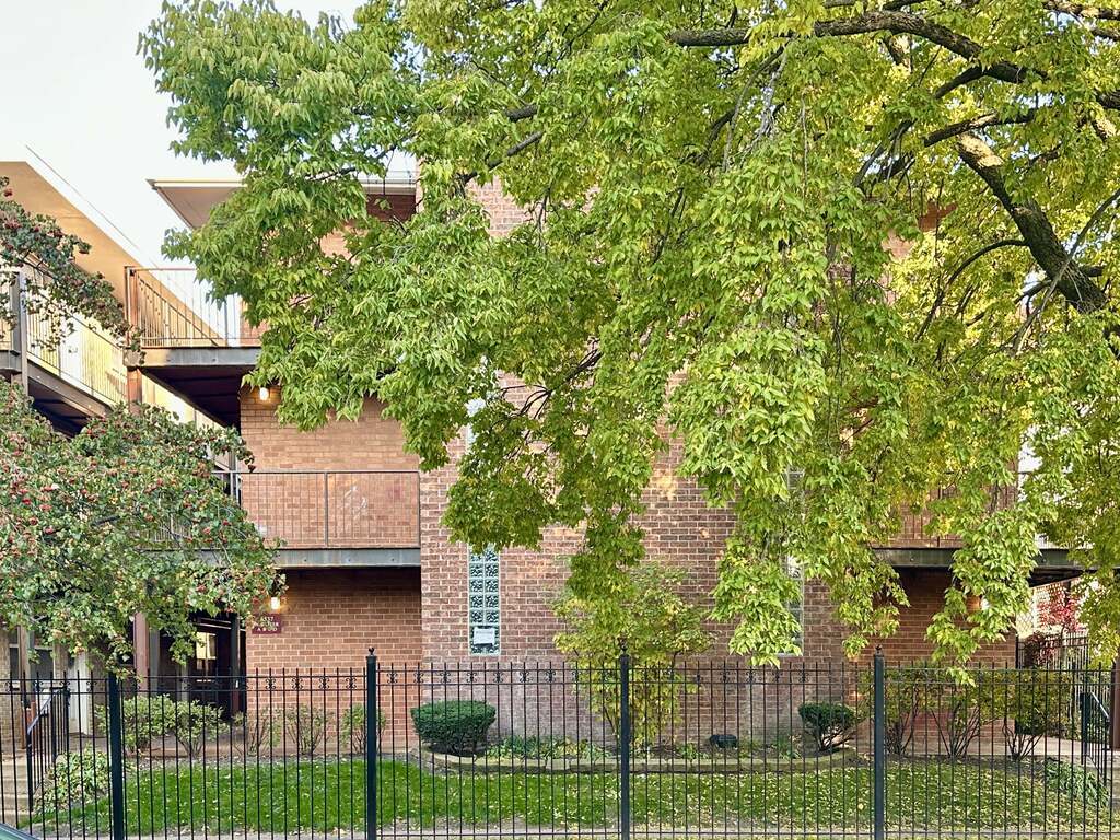 4537 N Dover Street 2D