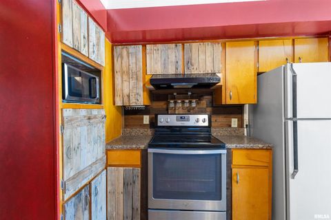 Tiny photo for 104 GEORGE Street, Anna, IL 62906 (MLS # EB460435)