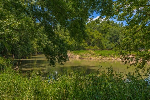 Tiny photo for 26199 N 1850 East Road, Lexington, IL 61753 (MLS # 12699166)
