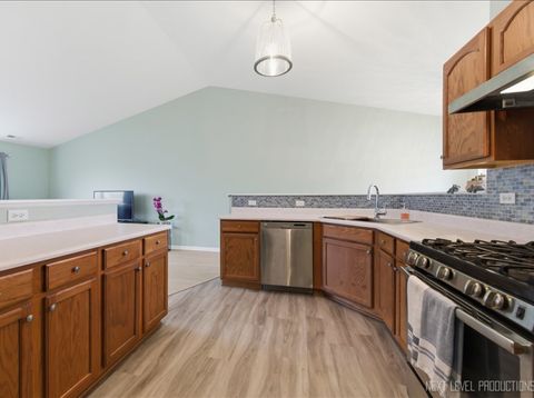 Tiny photo for 209 Nicole Drive #B, South Elgin, IL 60177 (MLS # 12580543)