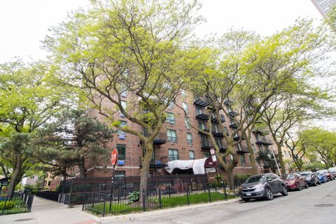3900 N Pine Grove Avenue 203 Chicago IL 60613