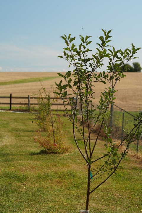 Tiny photo for 22524 Luther Road, Sterling, IL 61081 (MLS # 12664190)
