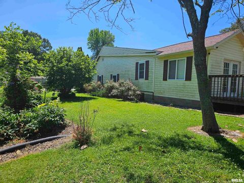 Tiny photo for 550 S VIENNA Road, Olmsted, IL 62970 (MLS # EB447016)