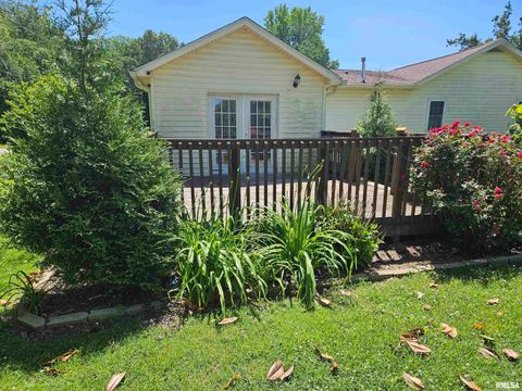 Tiny photo for 550 S VIENNA Road, Olmsted, IL 62970 (MLS # EB447016)