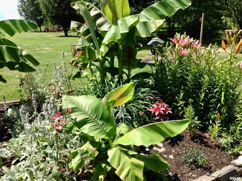 Tiny photo for 550 S VIENNA Road, Olmsted, IL 62970 (MLS # EB447016)