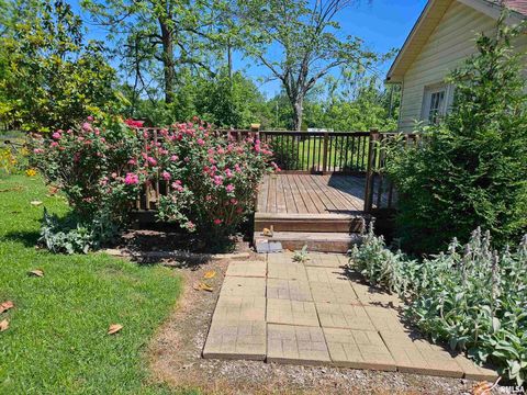 Tiny photo for 550 S VIENNA Road, Olmsted, IL 62970 (MLS # EB447016)