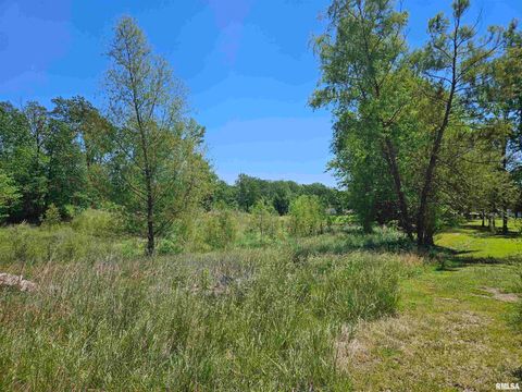 Tiny photo for 550 S VIENNA Road, Olmsted, IL 62970 (MLS # EB447016)