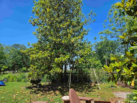 Tiny photo for 550 S VIENNA Road, Olmsted, IL 62970 (MLS # EB447016)