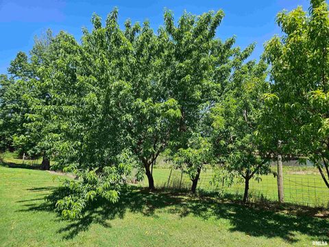 Tiny photo for 550 S VIENNA Road, Olmsted, IL 62970 (MLS # EB447016)