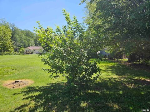 Tiny photo for 550 S VIENNA Road, Olmsted, IL 62970 (MLS # EB447016)