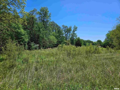 Tiny photo for 550 S VIENNA Road, Olmsted, IL 62970 (MLS # EB447016)