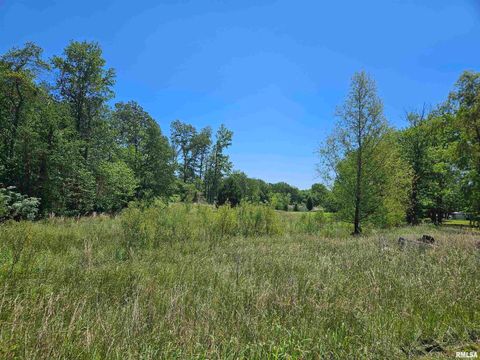 Tiny photo for 550 S VIENNA Road, Olmsted, IL 62970 (MLS # EB447016)