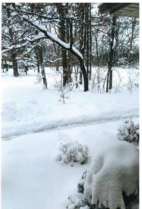 Tiny photo for 15501 116th Court, Orland Park, IL 60467 (MLS # 12514371)