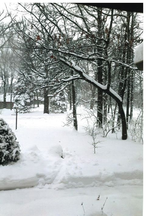 Tiny photo for 15501 116th Court, Orland Park, IL 60467 (MLS # 12514371)