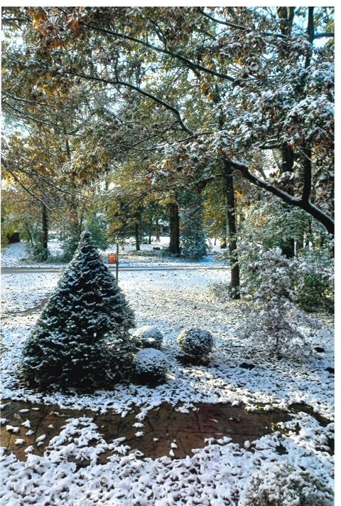 Tiny photo for 15501 116th Court, Orland Park, IL 60467 (MLS # 12514371)