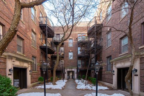 3644 N PINE GROVE Avenue 1 Chicago IL 60613