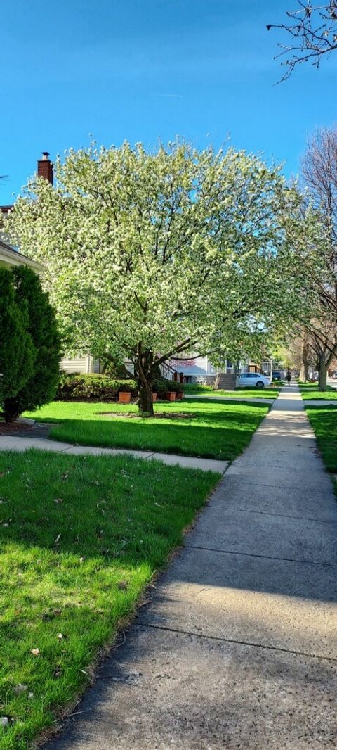 A home in Forest Park