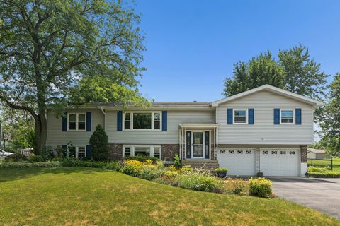 Photo of 920 Regent Street, New Lenox, IL 60451 (MLS # 12708381)