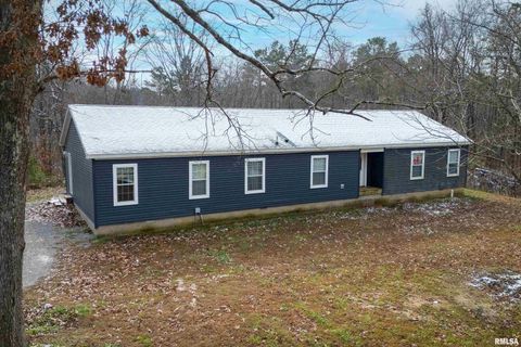 Photo of 1201 PINE RIDGE Lane, Makanda, IL 62958 (MLS # EB460691)