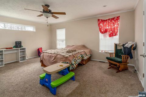 Tiny photo for 1201 PINE RIDGE Lane, Makanda, IL 62958 (MLS # EB460691)