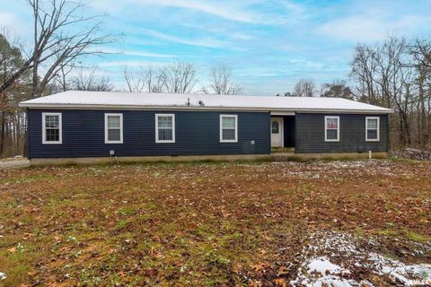 Tiny photo for 1201 PINE RIDGE Lane, Makanda, IL 62958 (MLS # EB460691)