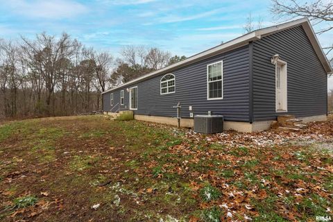 Tiny photo for 1201 PINE RIDGE Lane, Makanda, IL 62958 (MLS # EB460691)