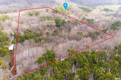 Tiny photo for 1201 PINE RIDGE Lane, Makanda, IL 62958 (MLS # EB460691)