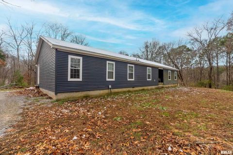 Tiny photo for 1201 PINE RIDGE Lane, Makanda, IL 62958 (MLS # EB460691)