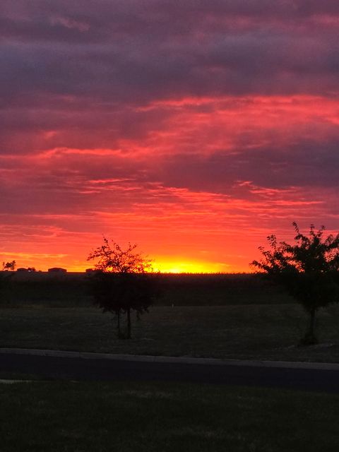 Tiny photo for 5080 Dasher Drive, Heyworth, IL 61745 (MLS # 12505939)