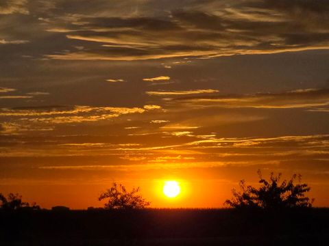 Tiny photo for 5080 Dasher Drive, Heyworth, IL 61745 (MLS # 12505939)