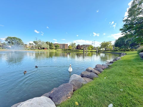 Tiny photo for 502 W Huntington Commons Road #438, Mount Prospect, IL 60056 (MLS # 12759904)