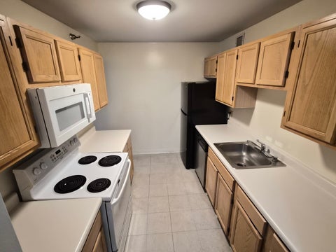 Tiny photo for 200 N Dearborn Street #1107, Chicago, IL 60601 (MLS # 12733152)